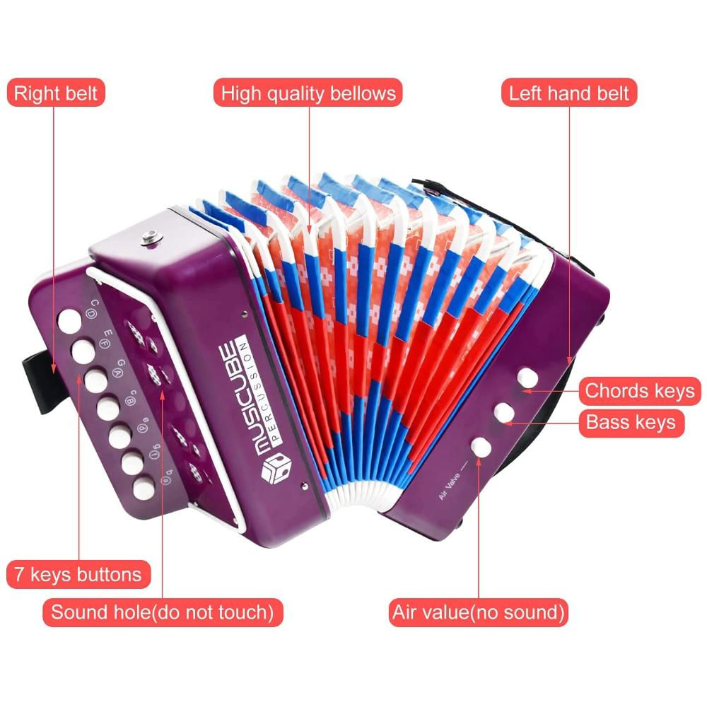 Instrumento De Acordeón Para Niños Con 10 Llaves img #2