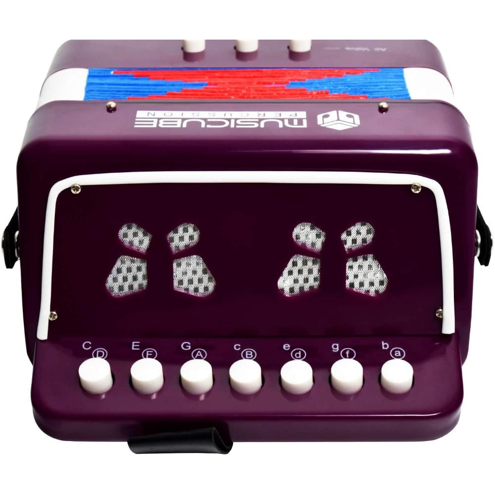Instrumento De Acordeón Para Niños Con 10 Llaves img #3