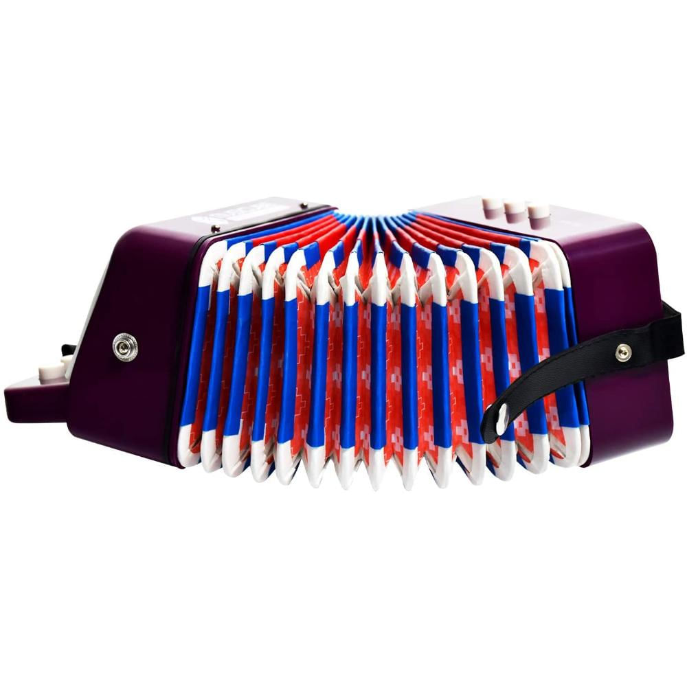 Instrumento De Acordeón Para Niños Con 10 Llaves img #4