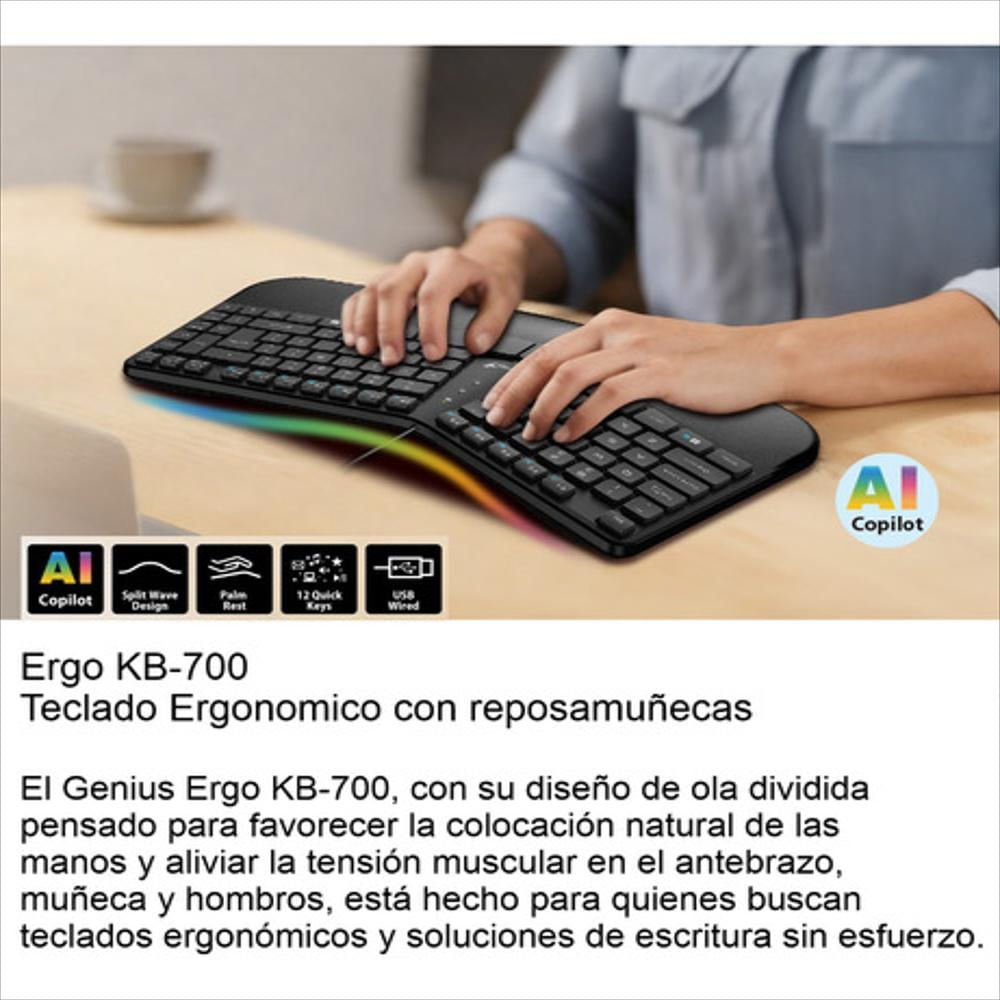 Teclado Ergonómico Con Reposamuñecas Genius Ergo Kb 700 img #2