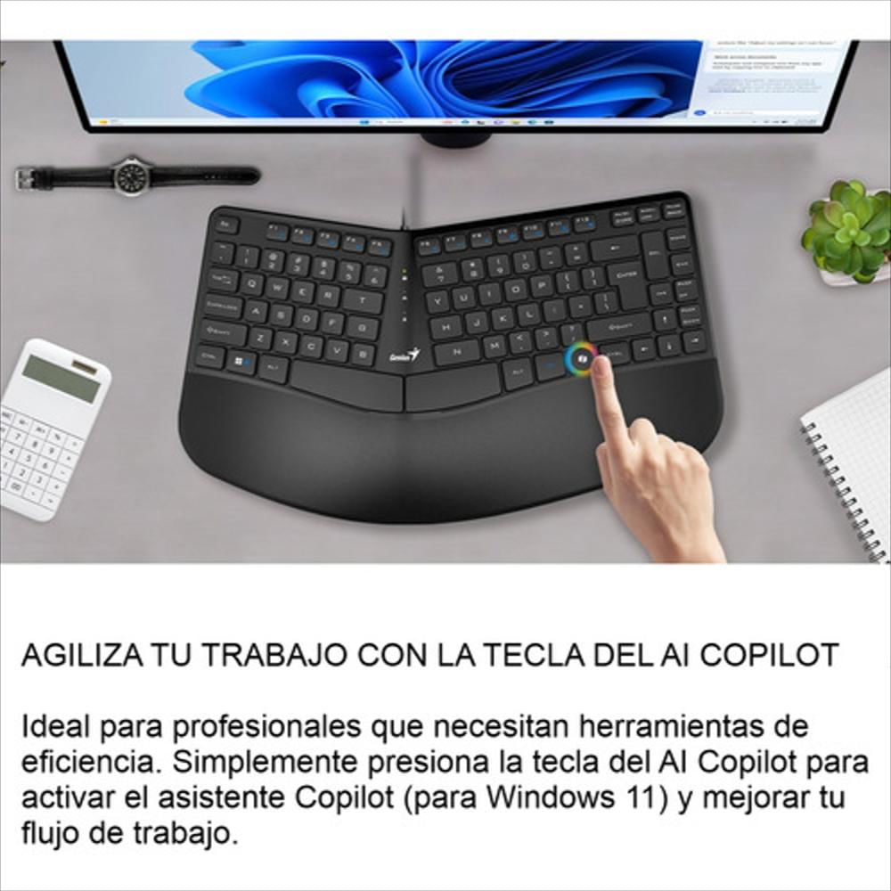 Teclado Ergonómico Con Reposamuñecas Genius Ergo Kb 700 img #4
