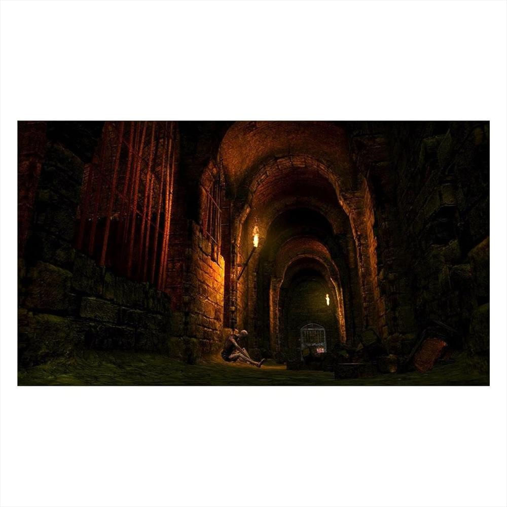 Dark Souls Trilogy Ps4 Fisico img #3
