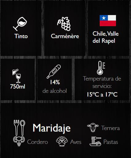 Vino VOLCANES   (750  ml) img #2