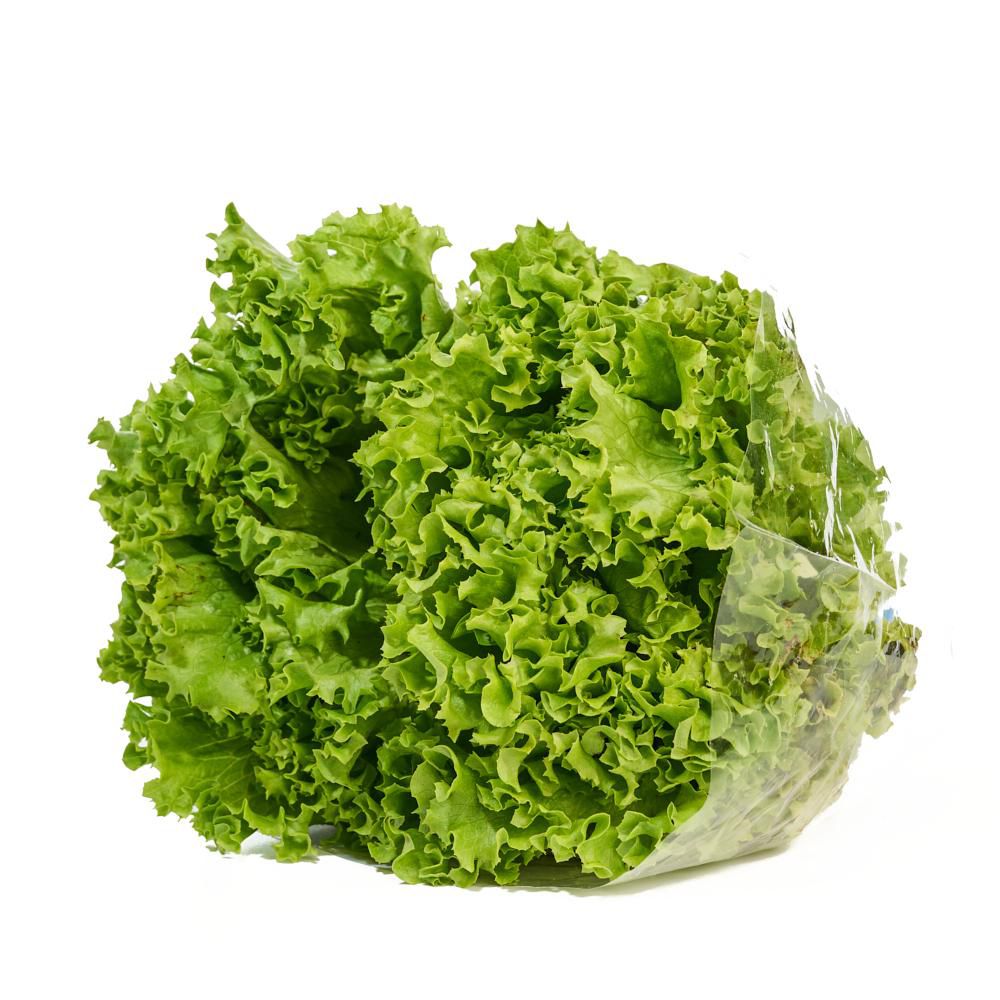 LECHUGA VERDE CRESPA HIDROP 170 gr