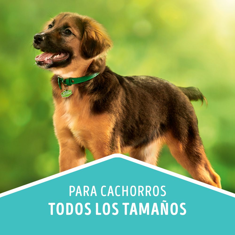 Alimento Para Cachorro Razas Mini PURINA DOG CHOW 1000  gr img #5