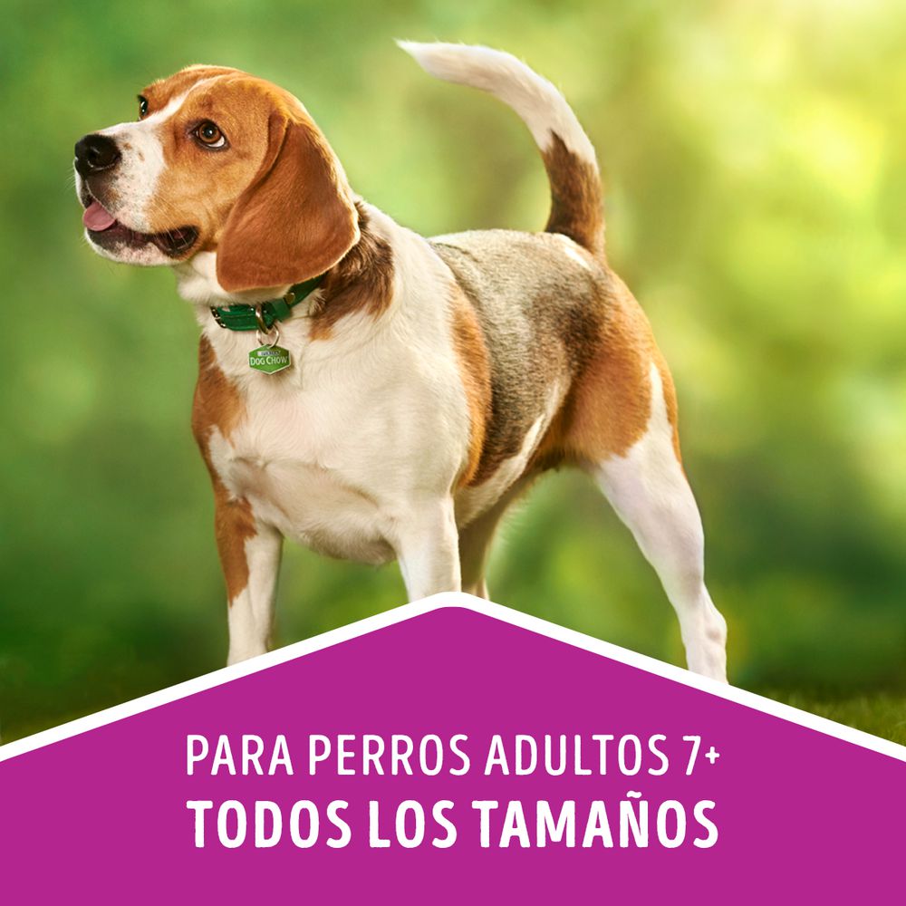 Adulto Perros Menores de 7 Años PURINA DOG CHOW 8000  gr img #5