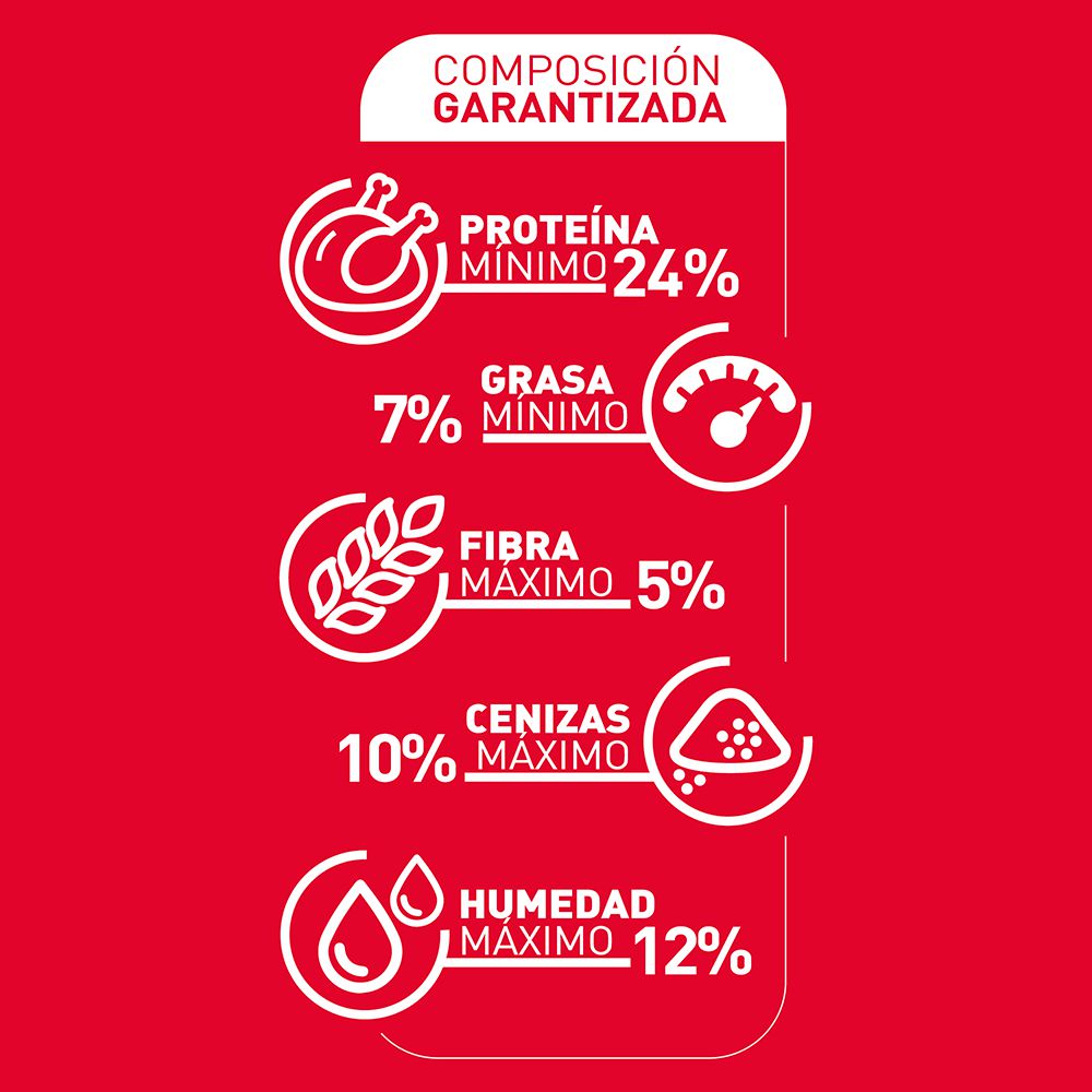 Alimento Perros Adultos RINGO 2000  gr img #4