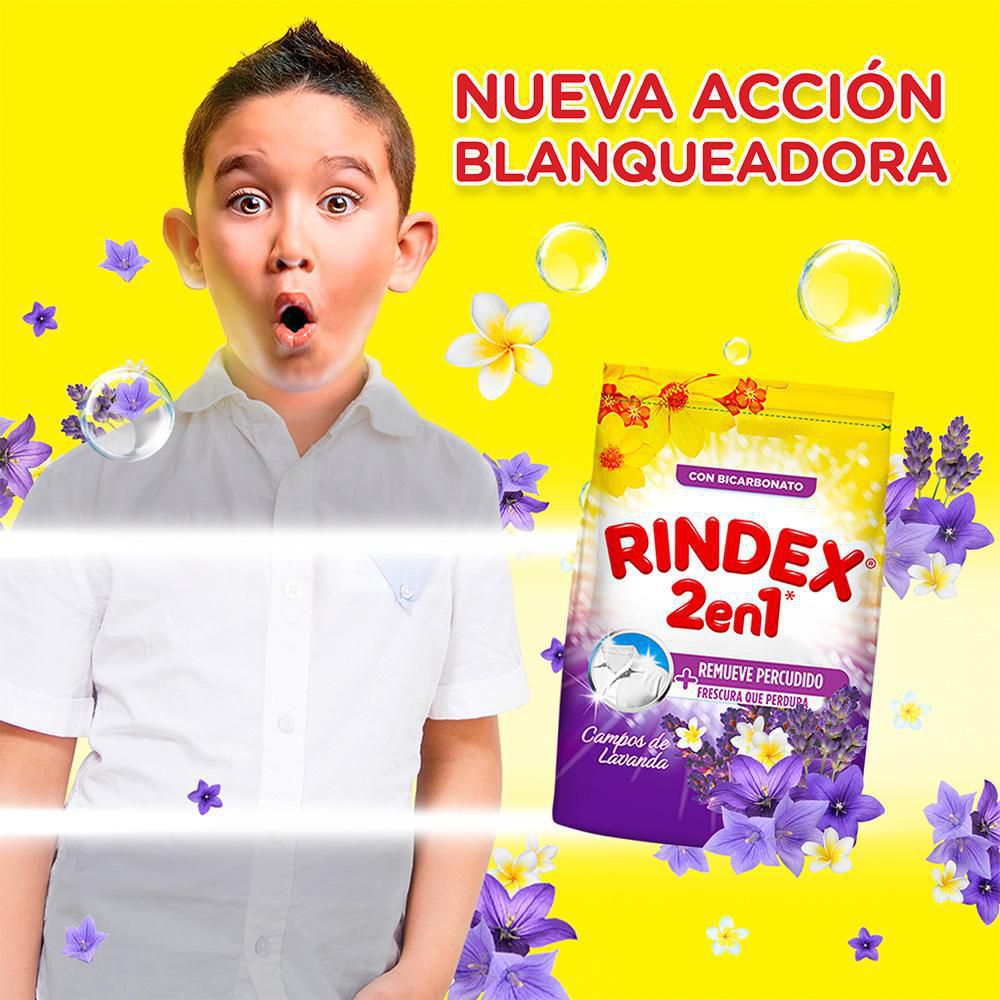 Detergente RINDEX  (800  gr) img #2