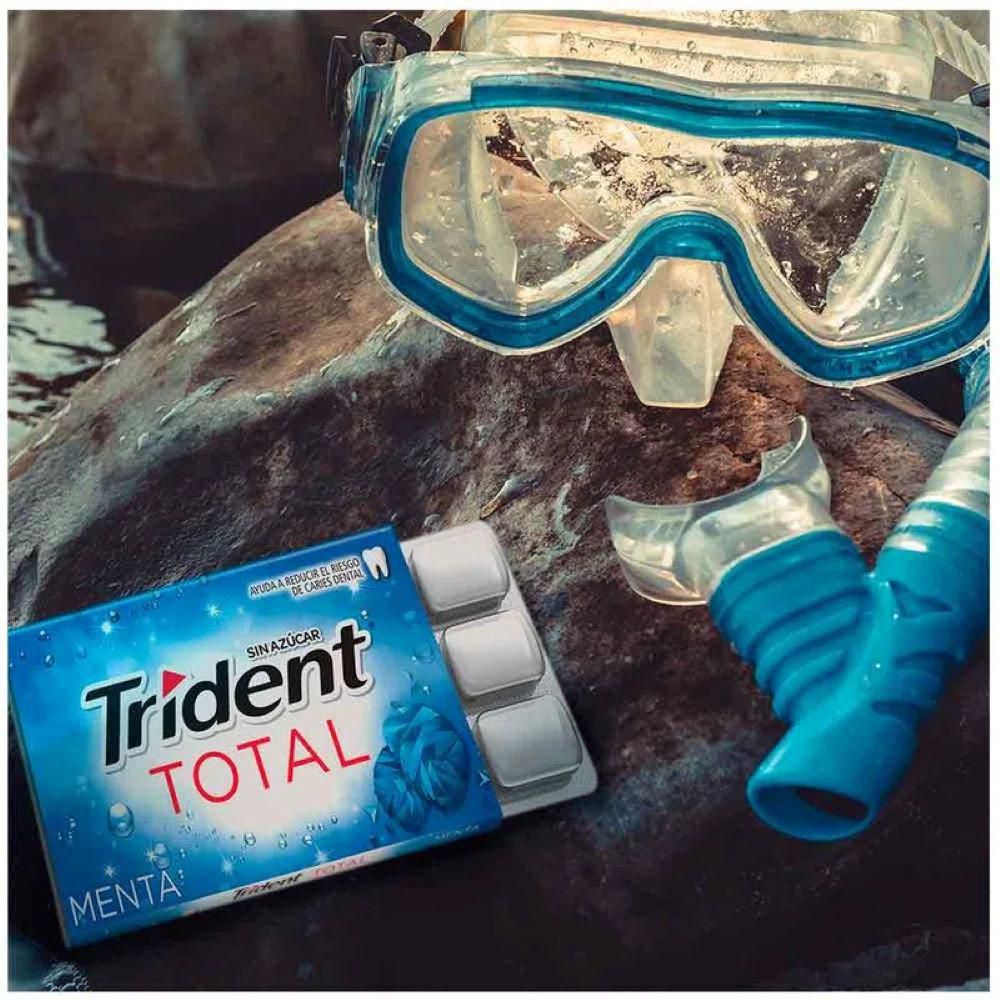 Chicle TRIDENT menta x12und (195.6  gr) img #2