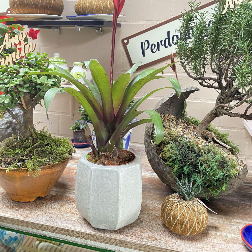 Maceta De Concreto Palermo Gris Natural img #2