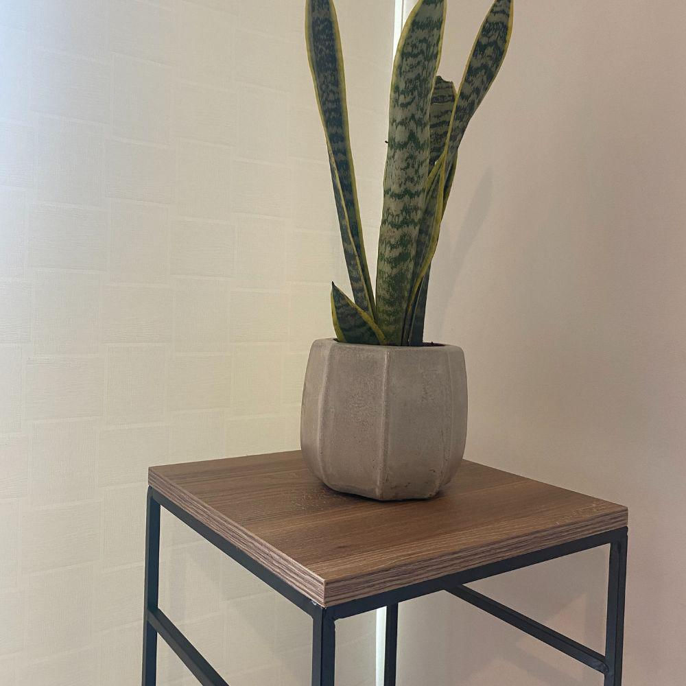 Maceta De Concreto Palermo Gris Natural img #3