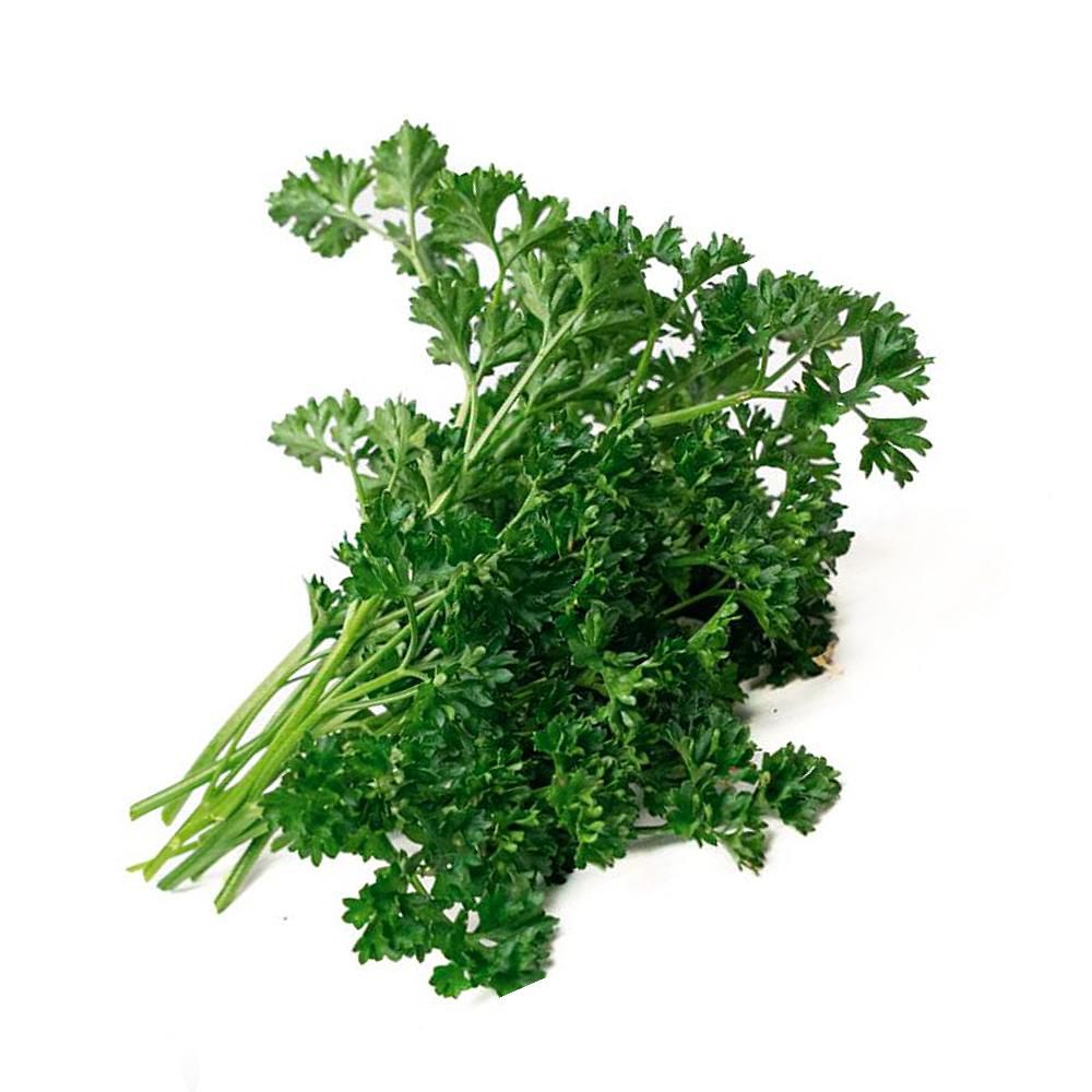 PEREJIL CRESPO CARULLA 80 gr