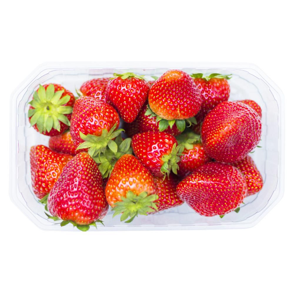 Fresa Extra   500  gr