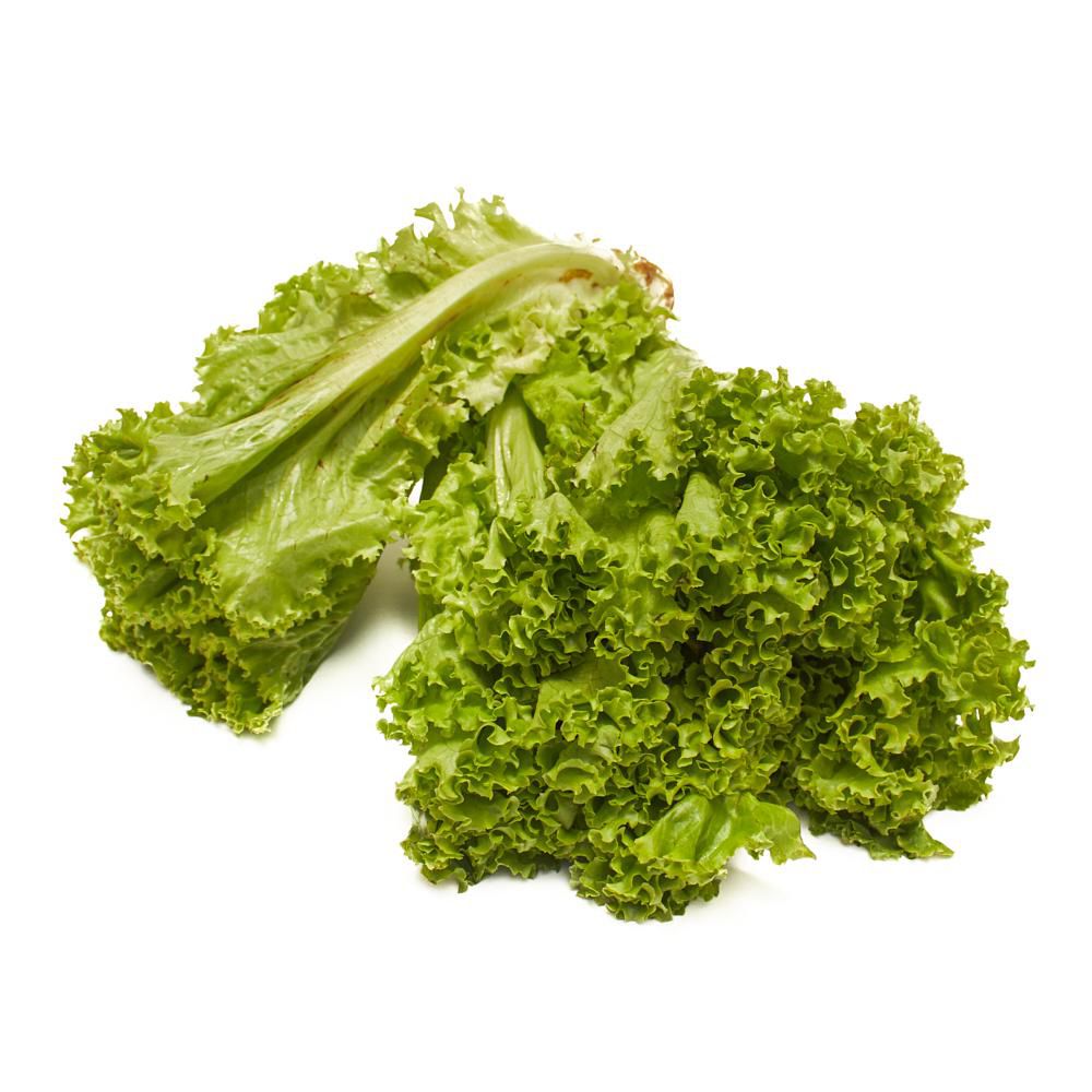 LECHUGA VERDE GRANEL