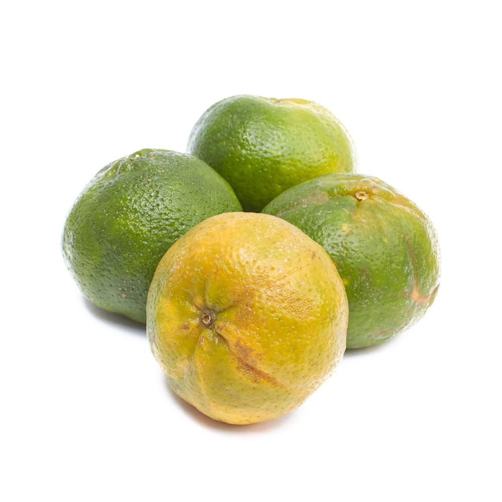 Mandarina Comun.