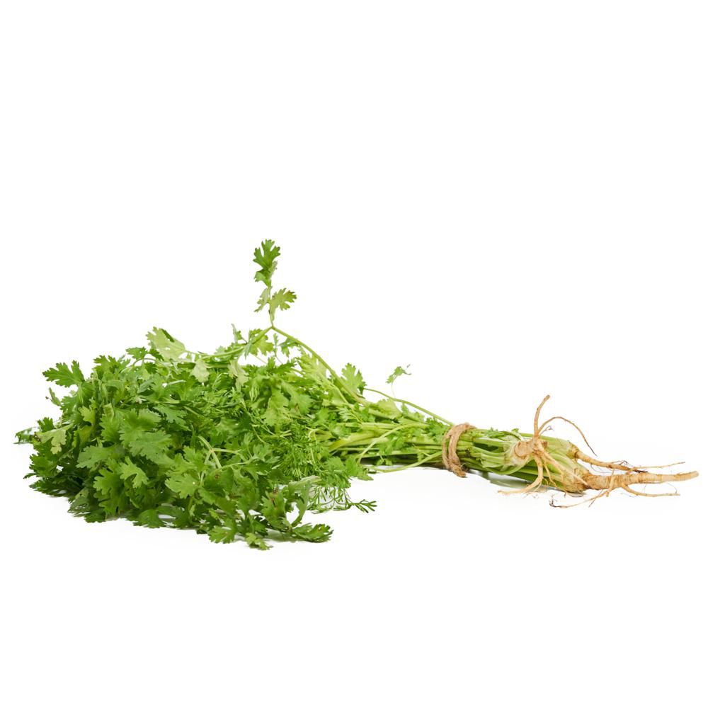CILANTRO MANOJO E 100 gr