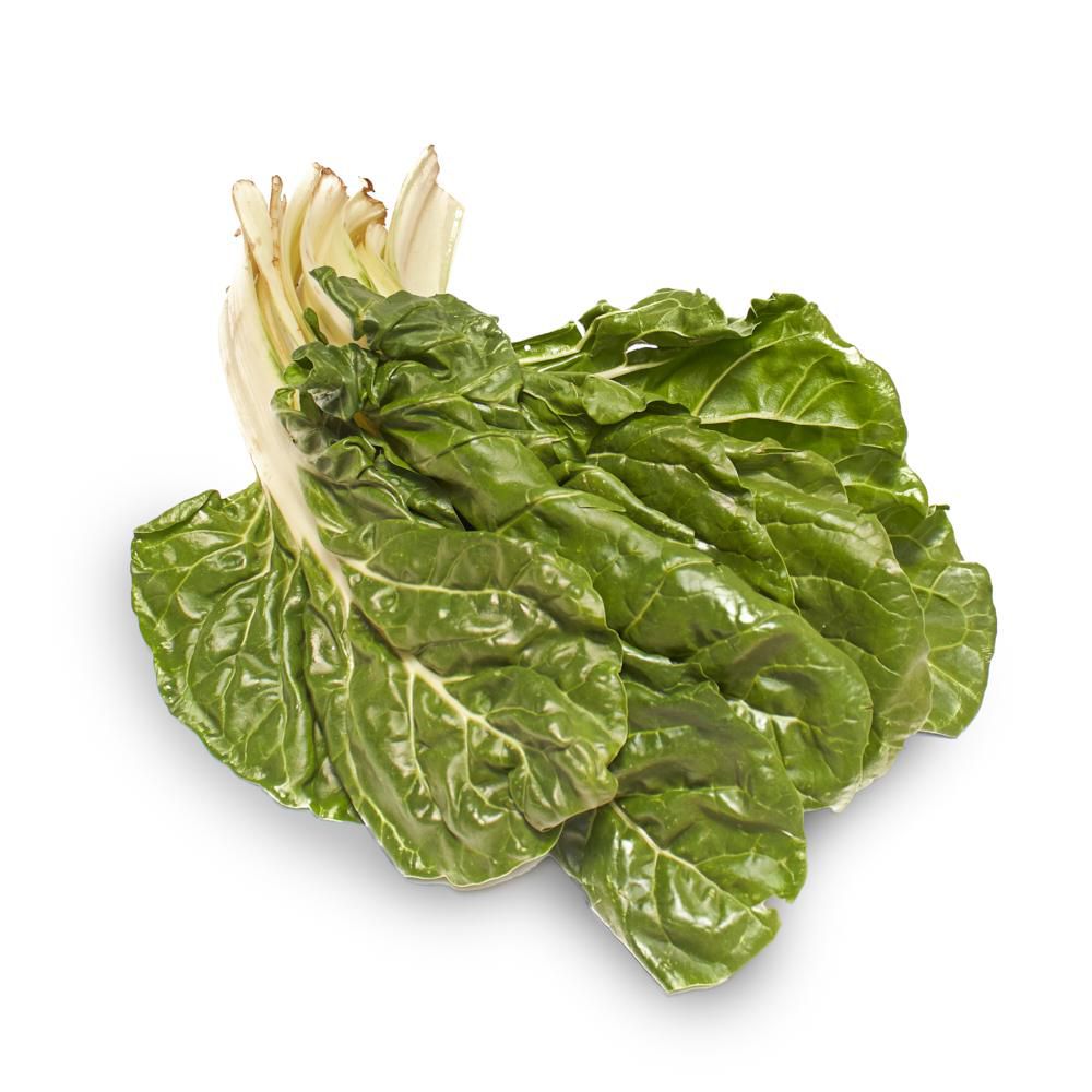 Acelga