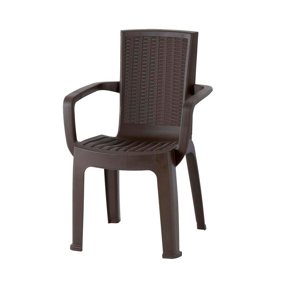 Silla Plastica Aura Con Brazos VANYPLAS 73906