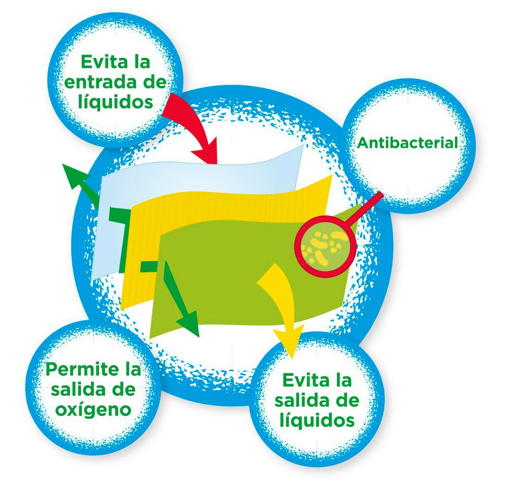 Camiseta Manga Corta Para Niño PLAZA SESAMO  SESF09 img #2