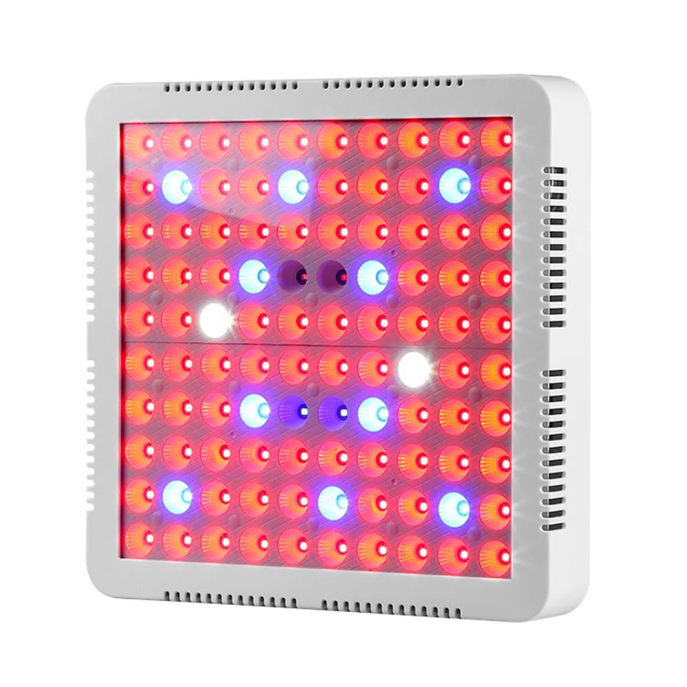 300W Led Planta Crecer Luces Interiores Plantas De Crecimiento Lámpara Bombillas