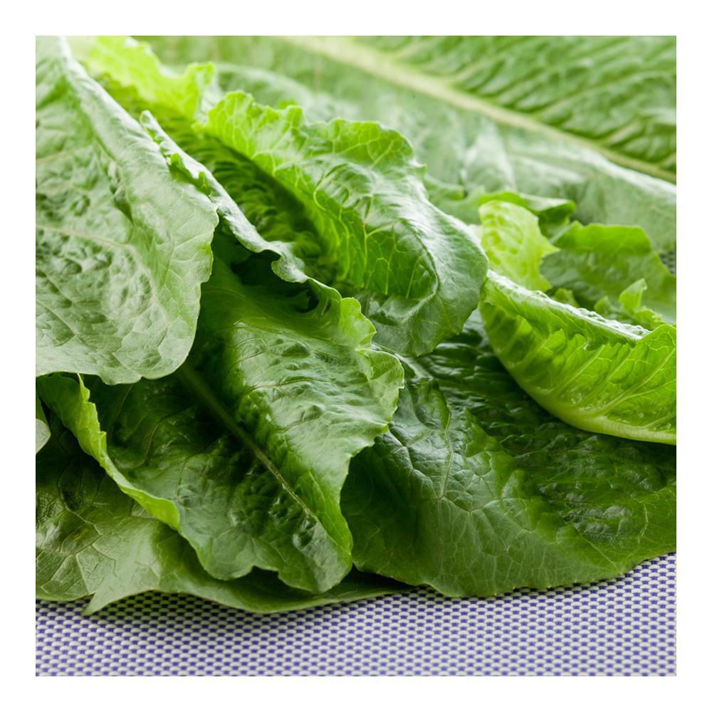 LECHUGA ROMANA TIERNA BOLSA  400  gr img #2