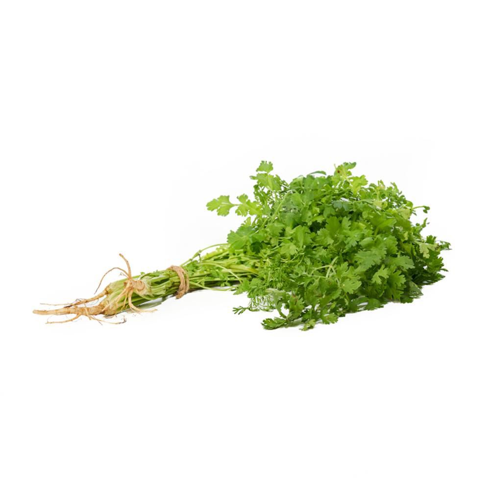 Cilantro Bolsa 50 gr