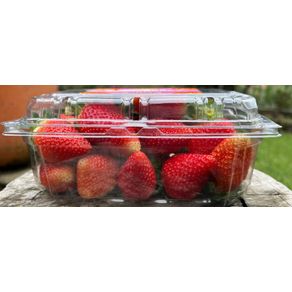 Fresa Hidropónica  500  gr