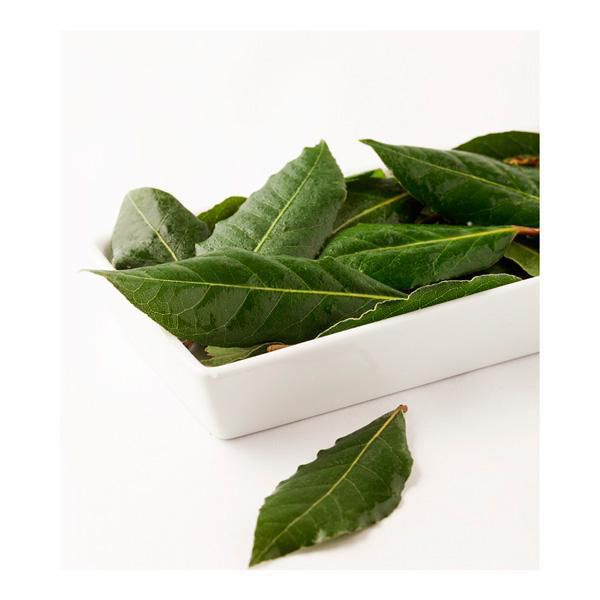 Laurel Fresco Capuchon  40  gr img #2