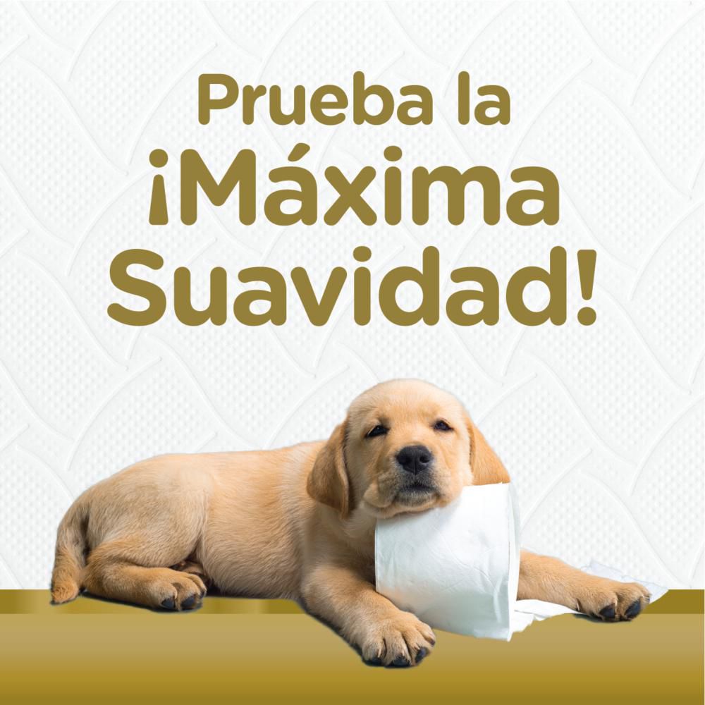 Papel higiénico SCOTT premium x12 rollos (289.2  mts) img #2