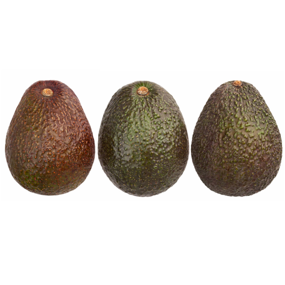 3 x Aguacate Hass