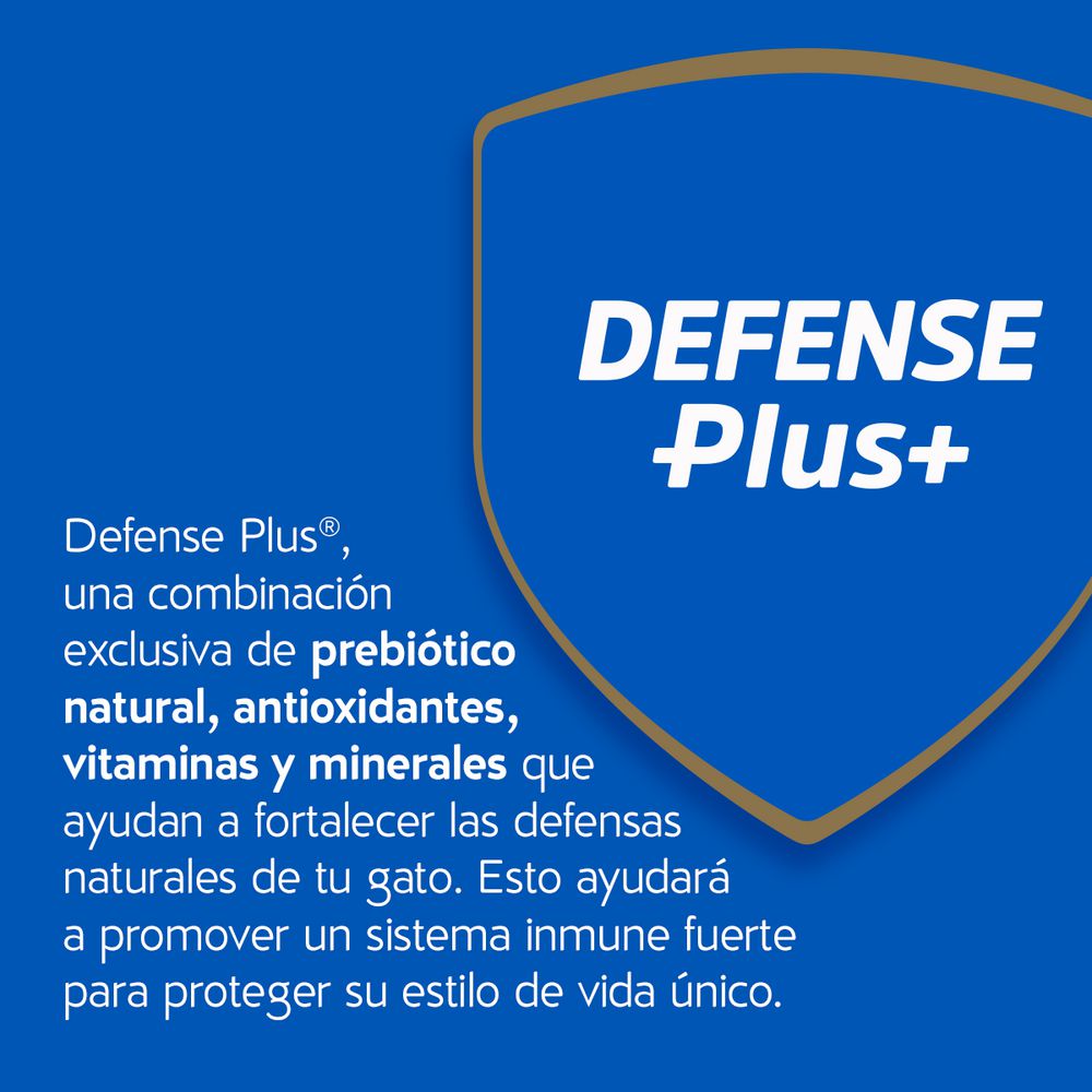 Activos 1 A 7 Años PURINA CAT CHOW 500  gr img #7