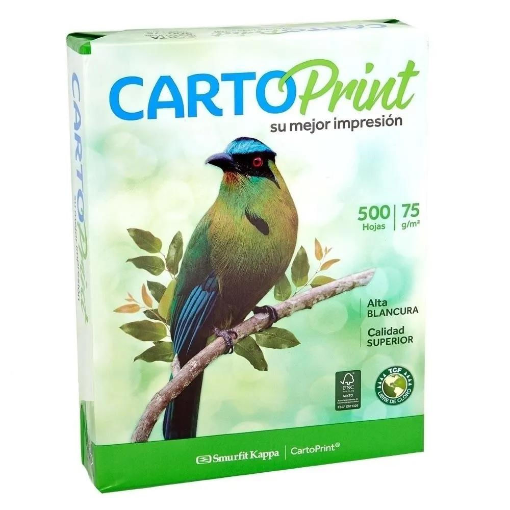 Impresora Multifuncional Canon G2110 Usb + Resma img #3
