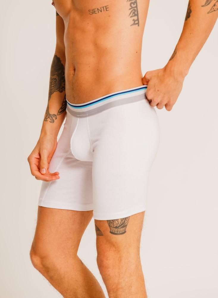 Boxer BRONZINI