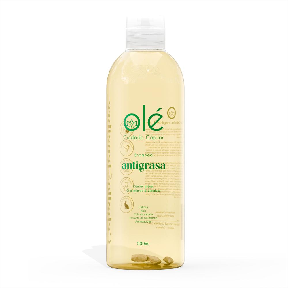 Shampoo Antigrasa Cebolla, Jengibre Y Apio img #1