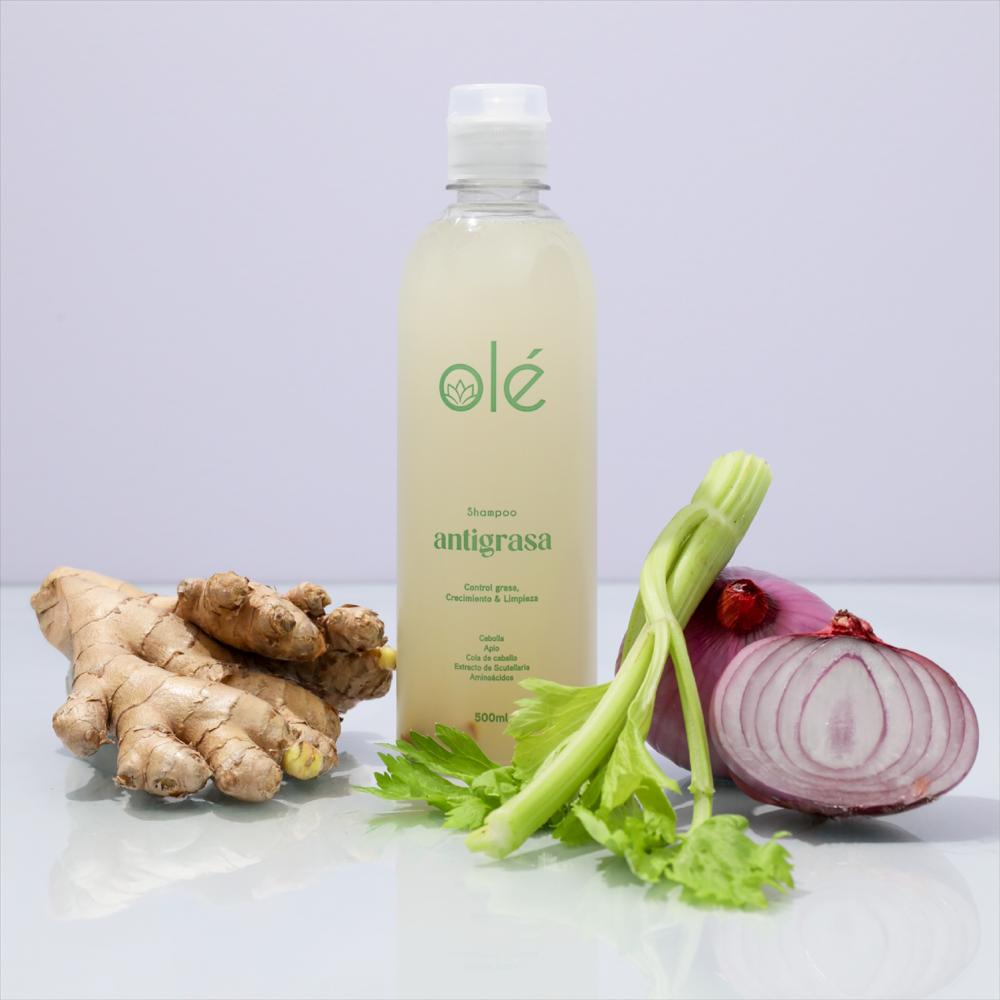 Shampoo Antigrasa Cebolla, Jengibre Y Apio img #2