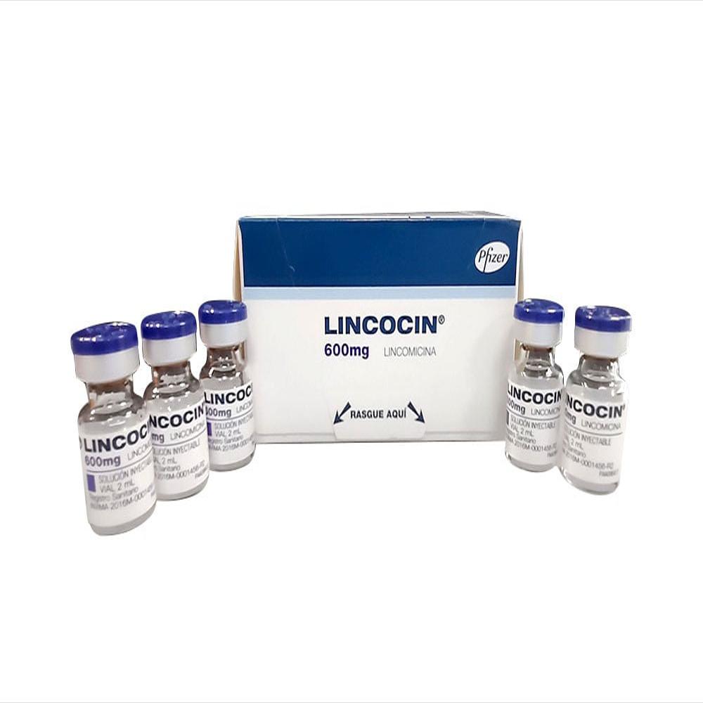 Lincocin Lincomicina 600Mg/2Ml Sol Intravenosa/Intramuscular Caj 5 Vi 2 Ml img #1