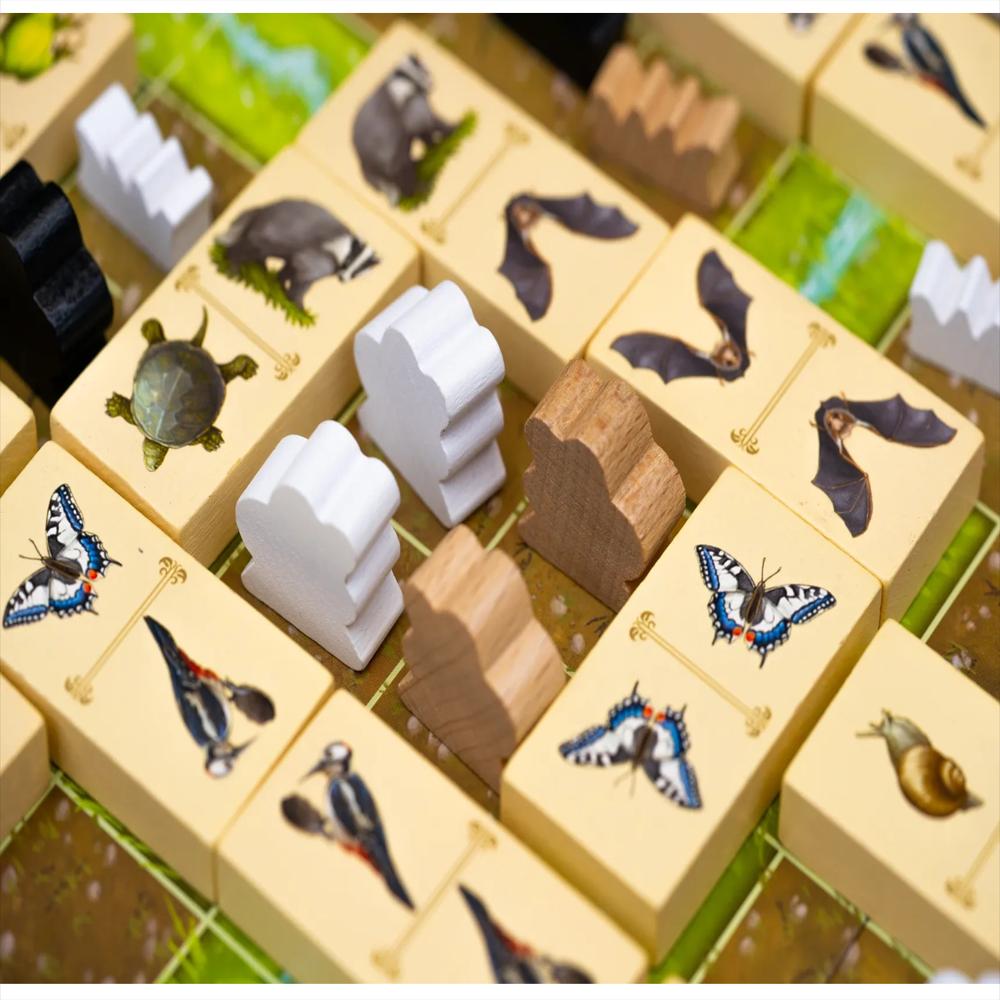 Juego De Mesa Renature img #3