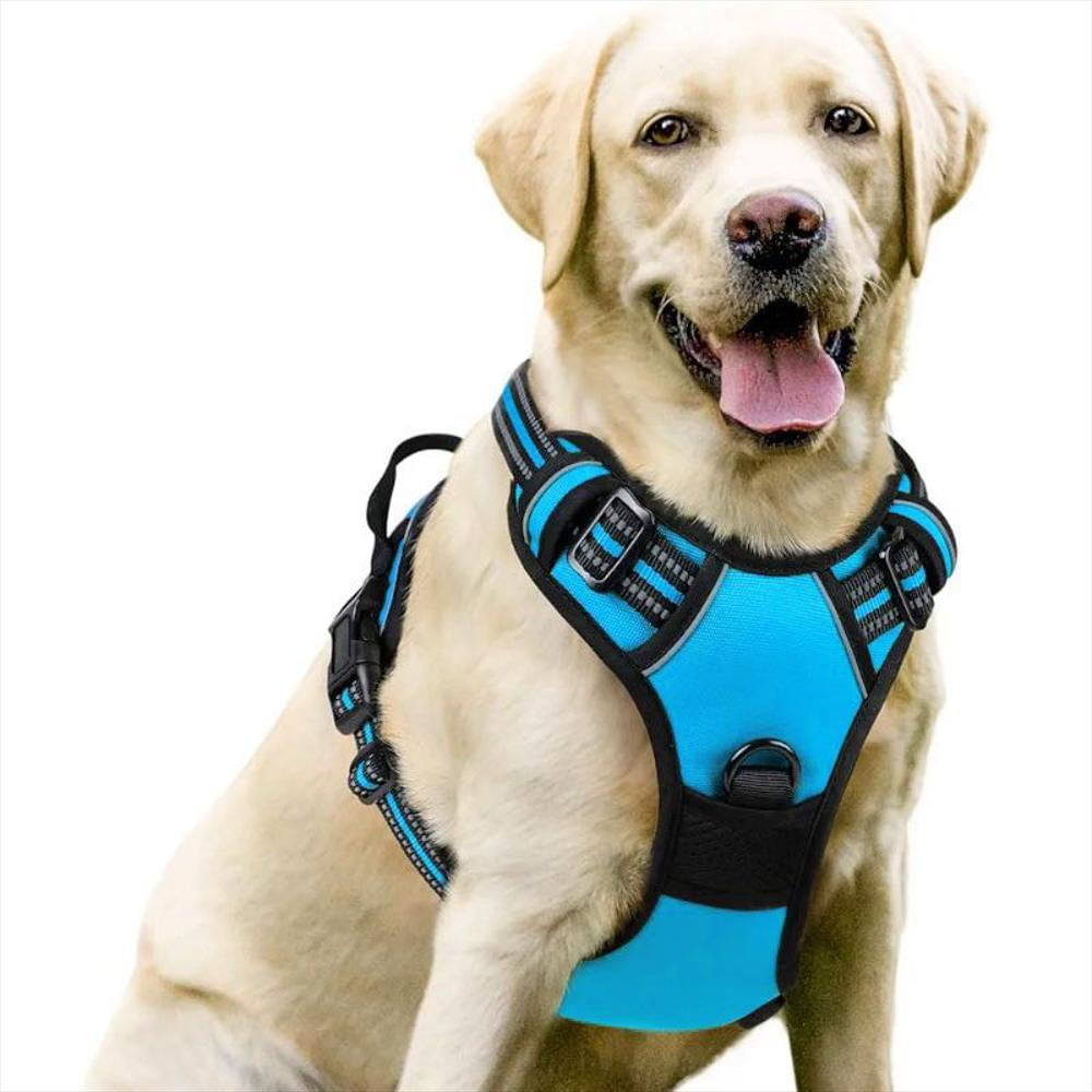 Arnés Pechera Ajustable Con Correa Para Perro Y Gato Talla L Azul img #2