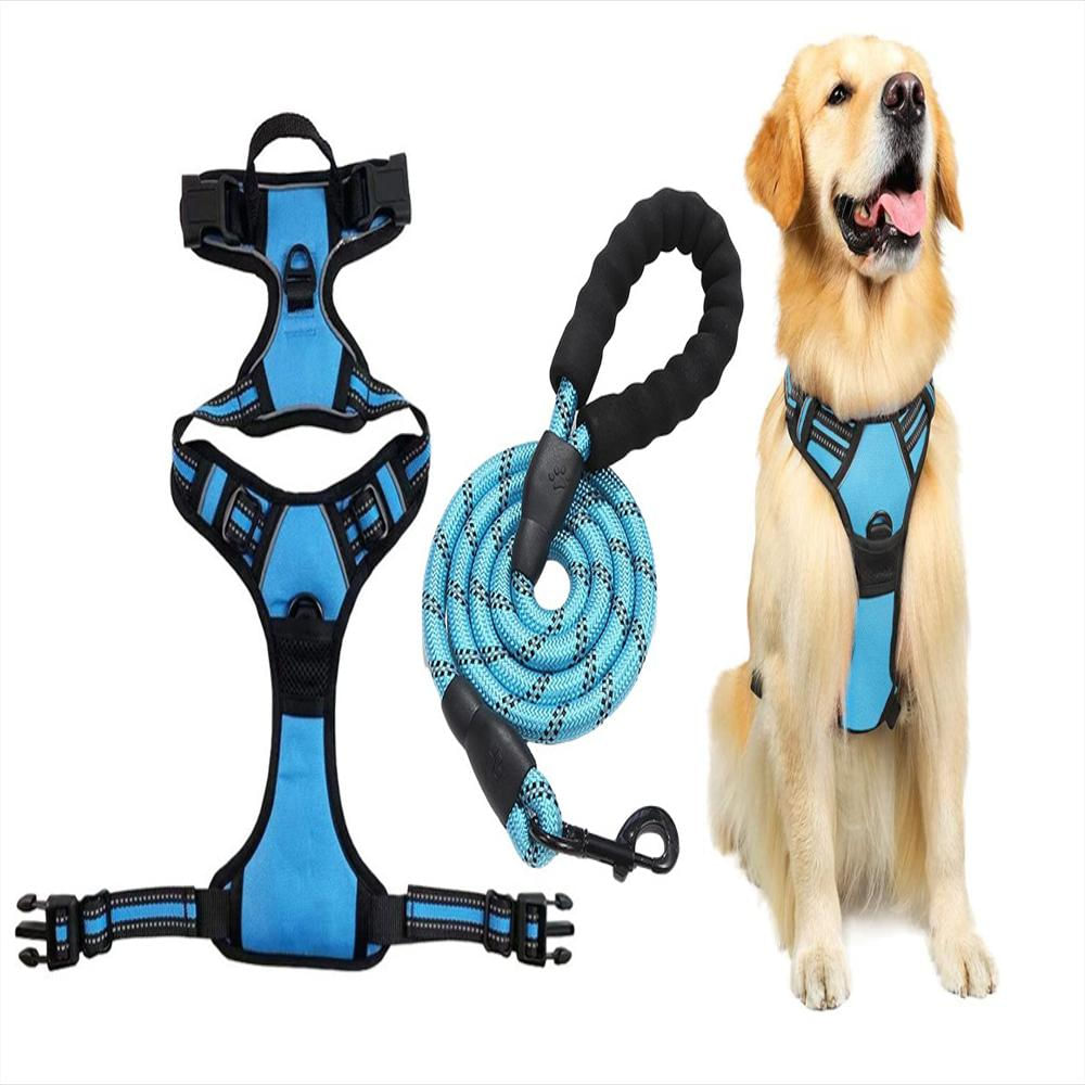 Arnés Pechera Ajustable Con Correa Para Perro Y Gato Talla M Azul img #1