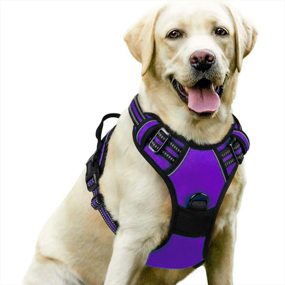 Arnés Pechera Ajustable Con Correa Para Perro Y Gato Talla L Púrpura img #2