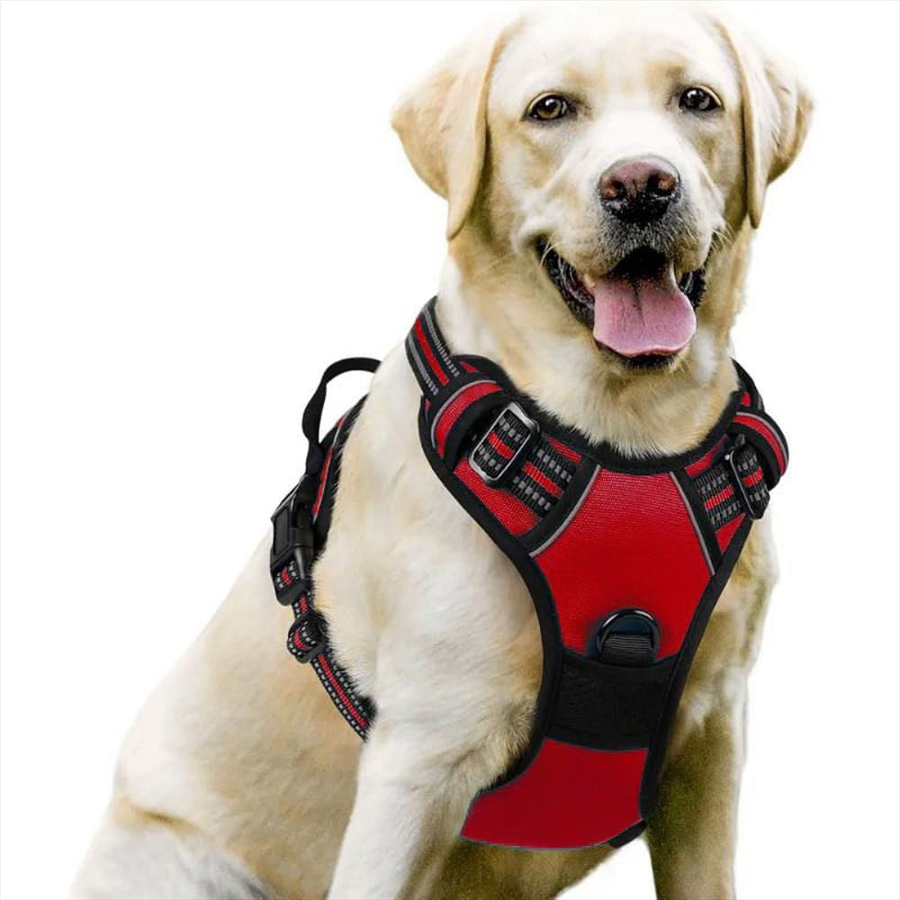 Arnés Pechera Ajustable Con Correa Para Perro Y Gato Talla Xl Rojo img #2