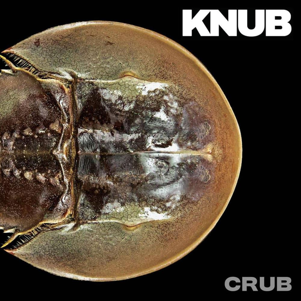 Disco De Vinilo Crub Lp img #2