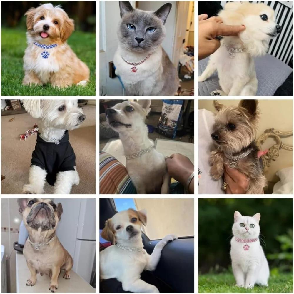 Collar De Lujo Para Gatos Perros Pequeños Hermosa Artesanía img #3