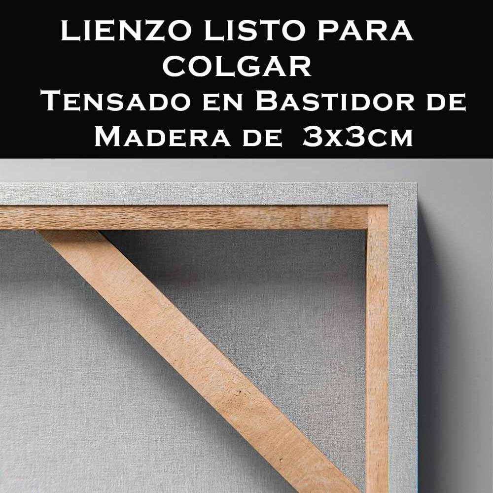 Cuadro En Lienzo Moderno Salas Abstracto 152 175X70cm img #3