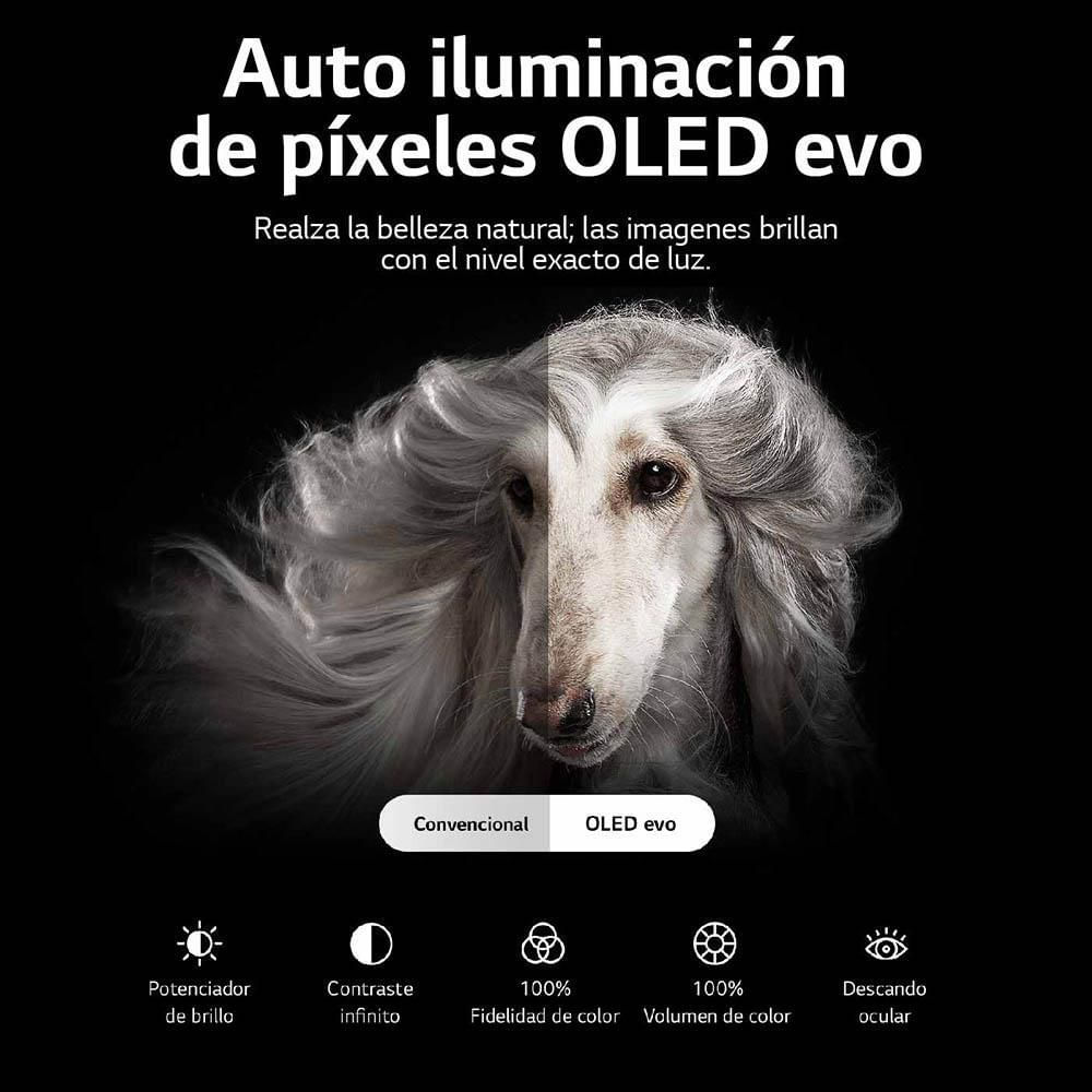 Televisor LG 77 pulgadas OLED Uhd4K Smart TV OLED77G2 img #5
