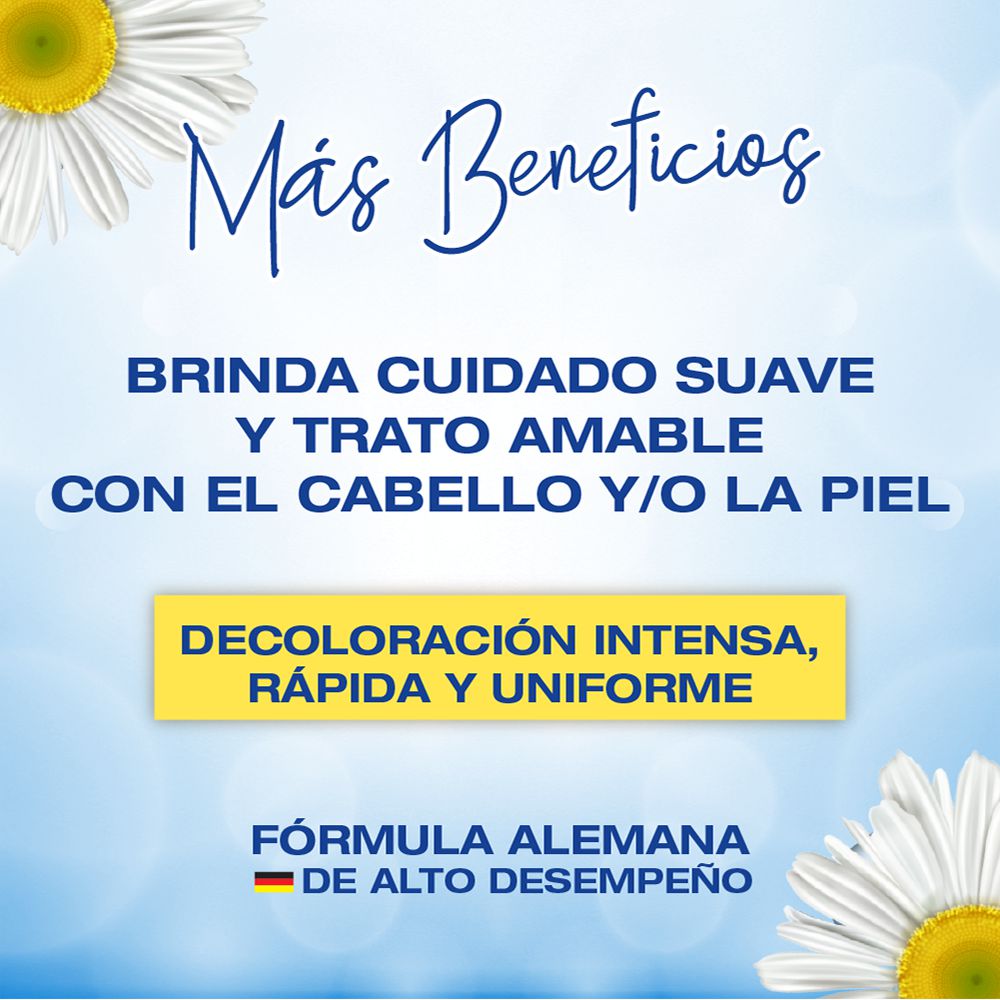 Polvo IGORA VITAL decolorante (10  und) img #2