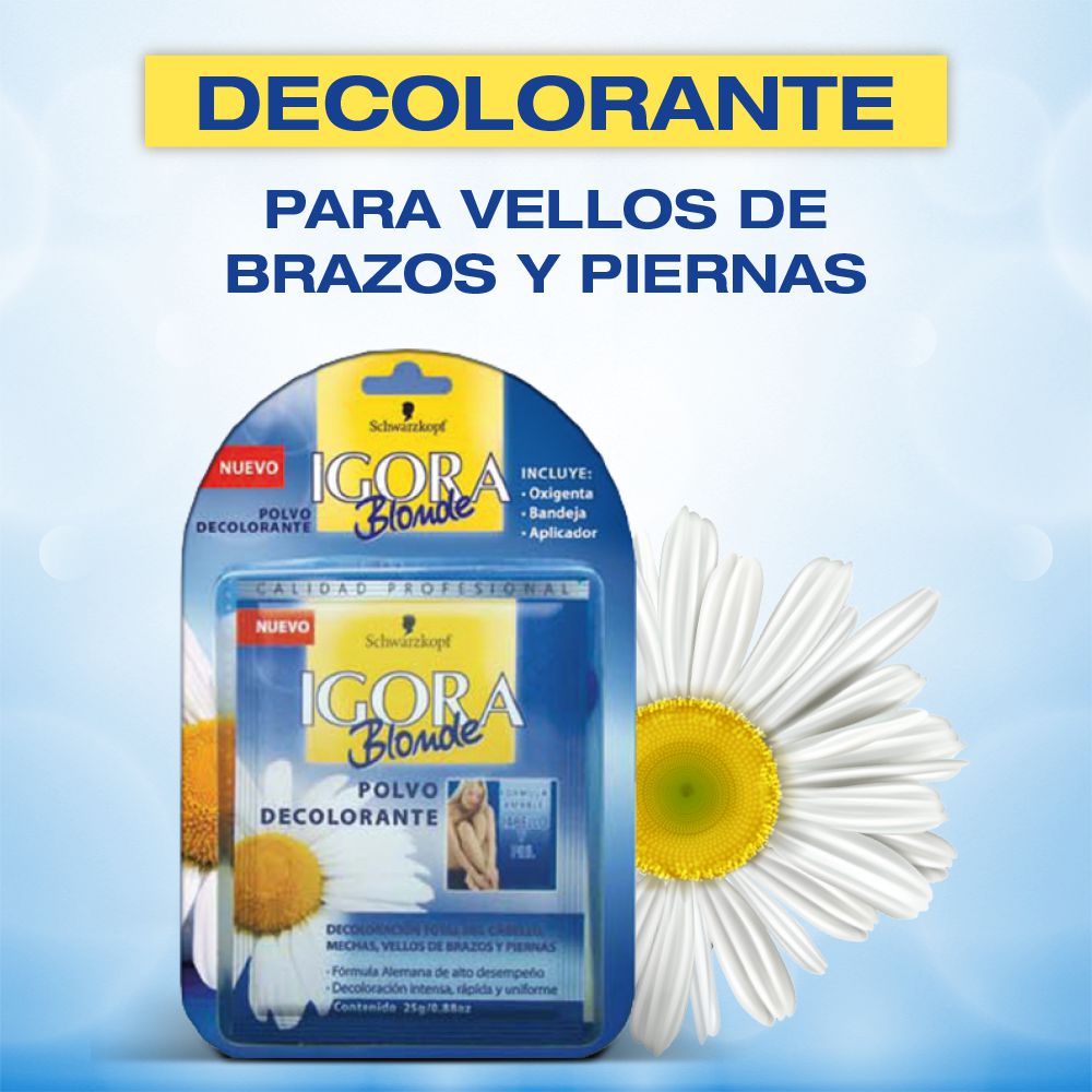 Polvo IGORA VITAL decolorante (10  und) img #3