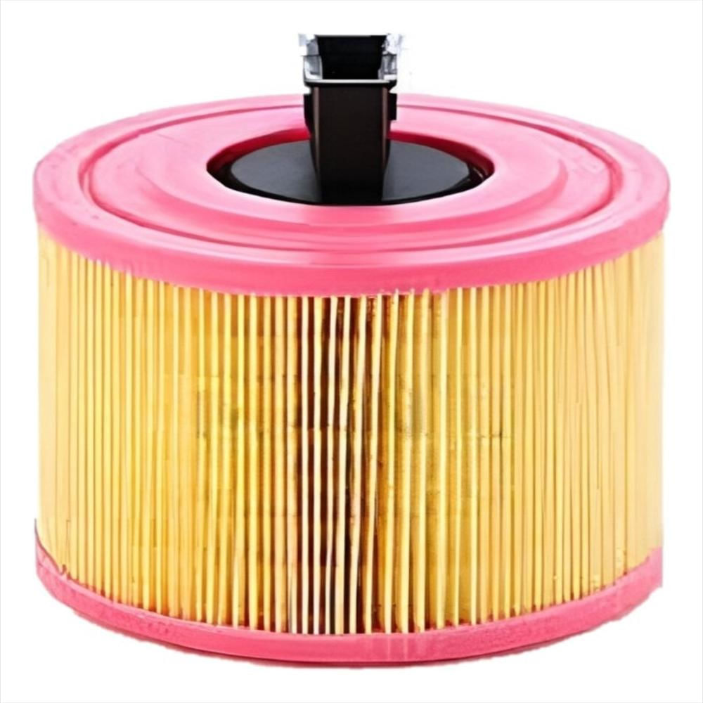 Filtro De Aire Mann Filter C18114 Bmw X1 2.5 125I 130I img #1