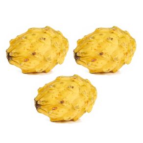 3 x Pitahaya