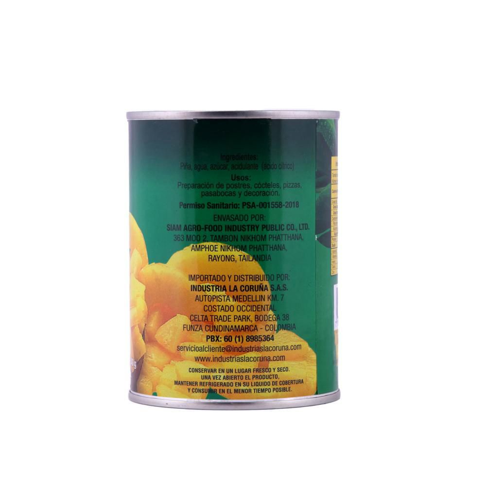 Piña en trozos LA CORUNA lata (340  gr) img #2